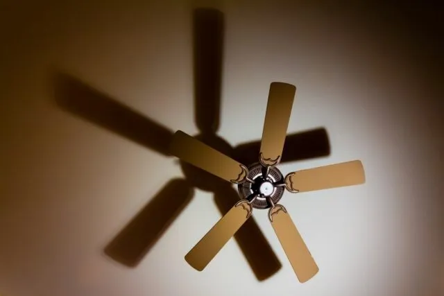 Photo how to build a fan club guide